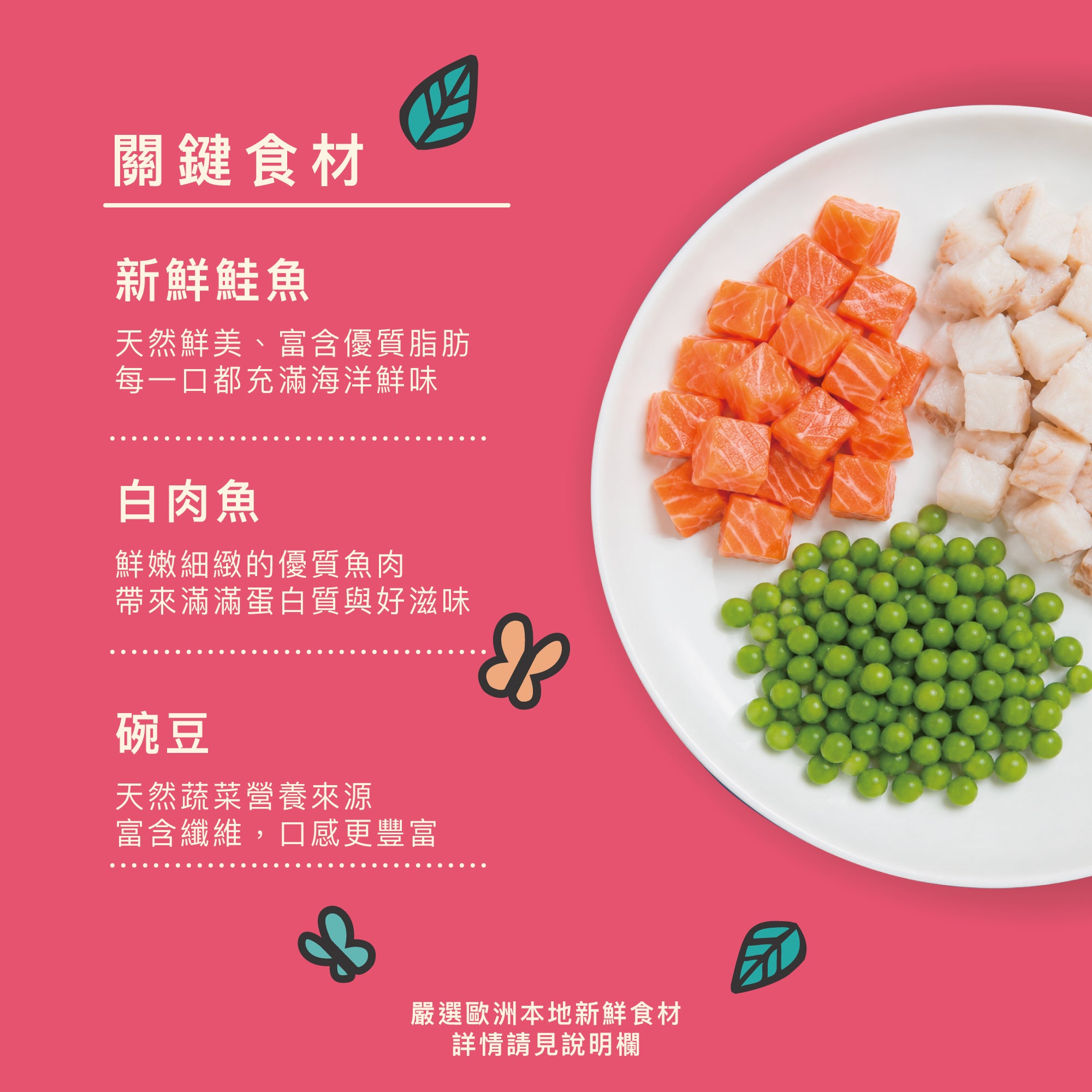 英式鮭魚餅乾(犬) 70g