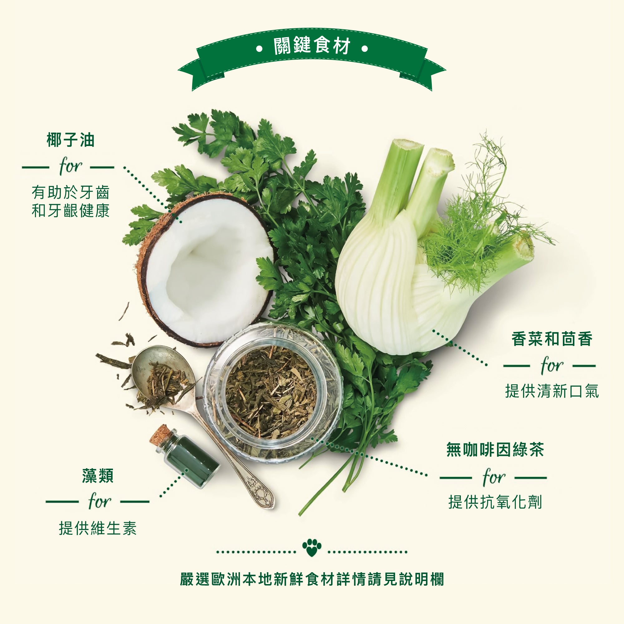 三包組🦷腸胃中型沃夫潔牙棒(犬)