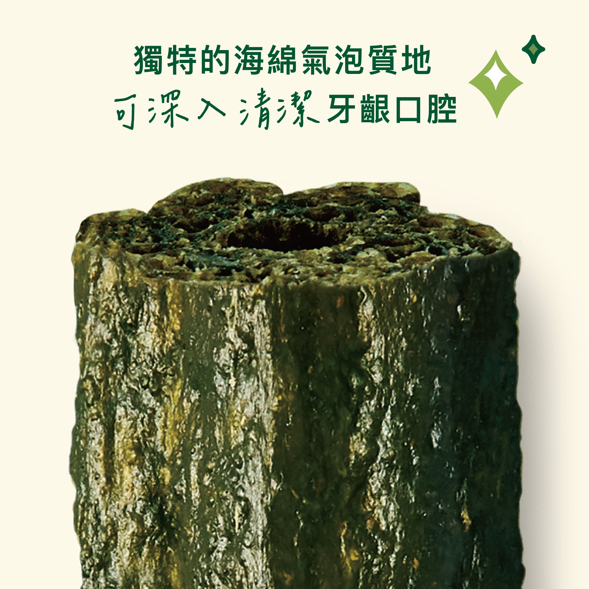 三包組🦷腸胃中型沃夫潔牙棒(犬)