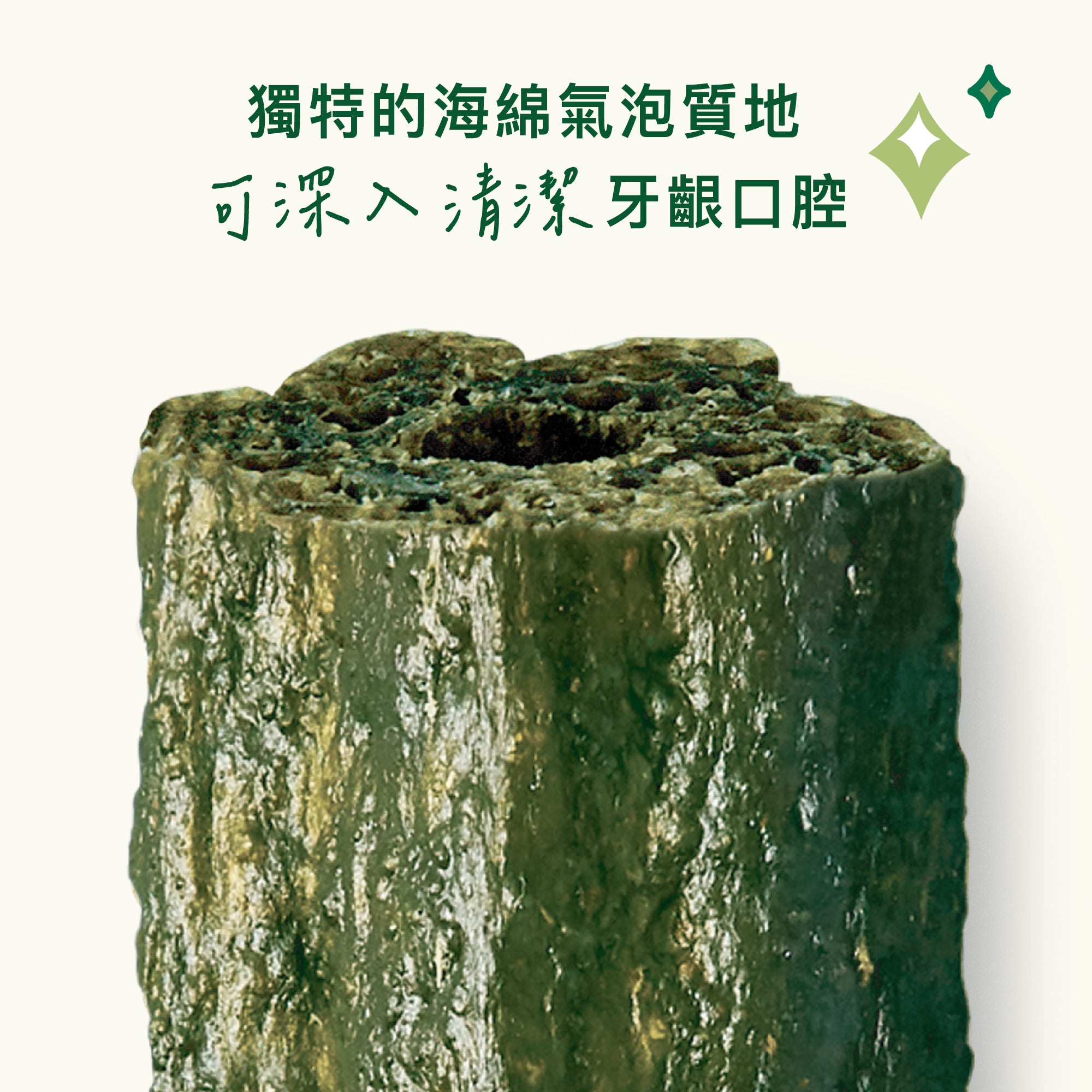 五包組🦷小型沃夫潔牙棒(犬)