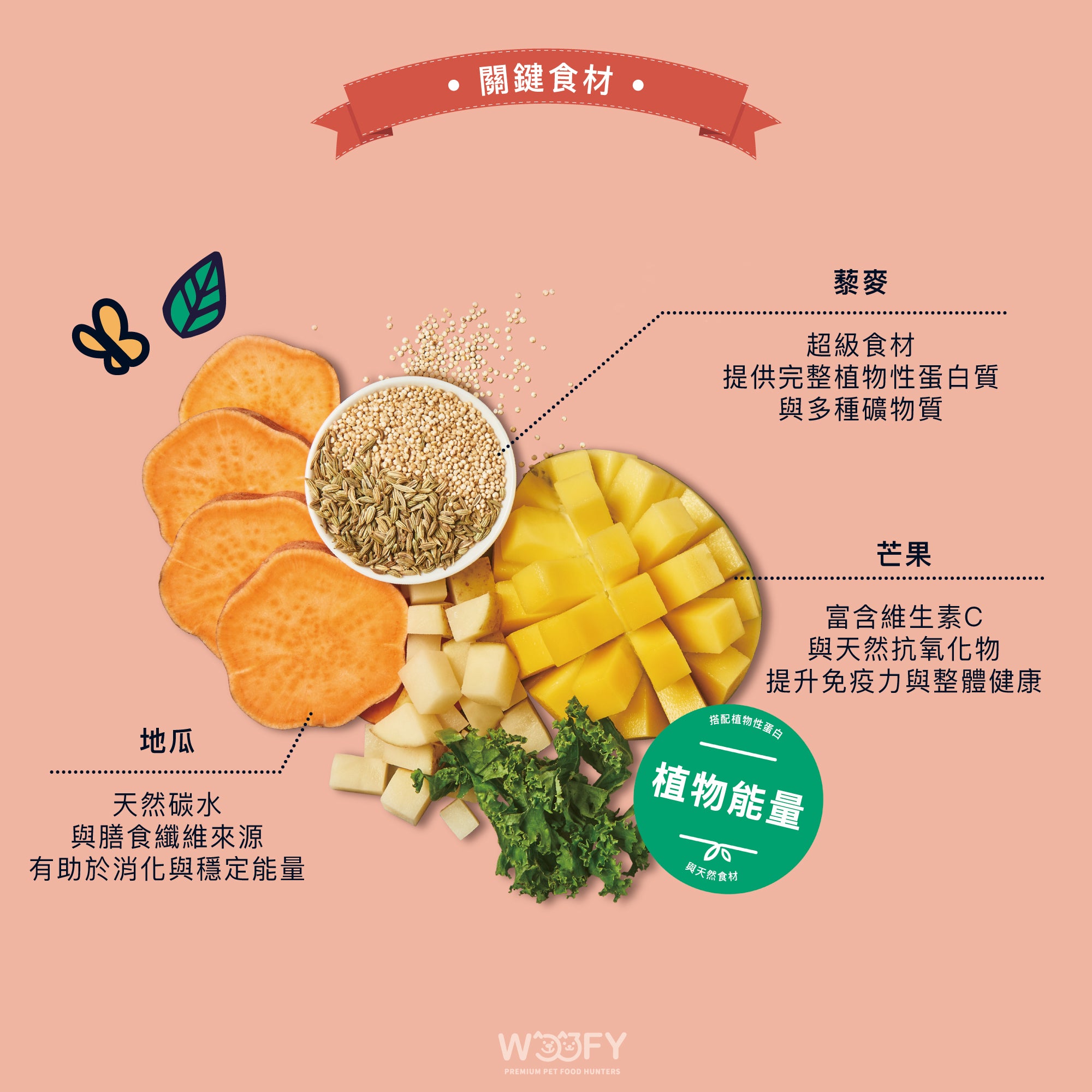 熱帶芒果乾(犬) 70g