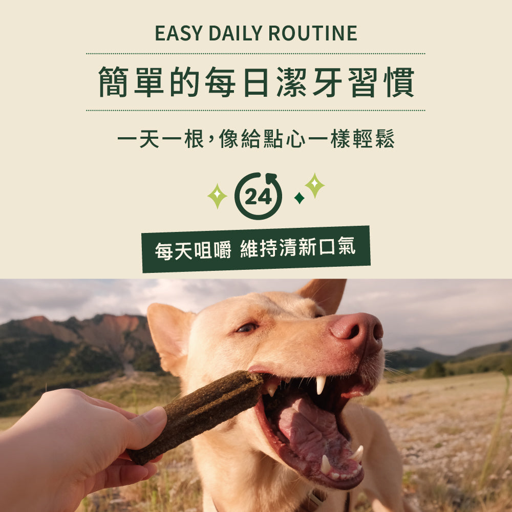 沃夫潔牙棒(犬) 小型單包 22克x7根