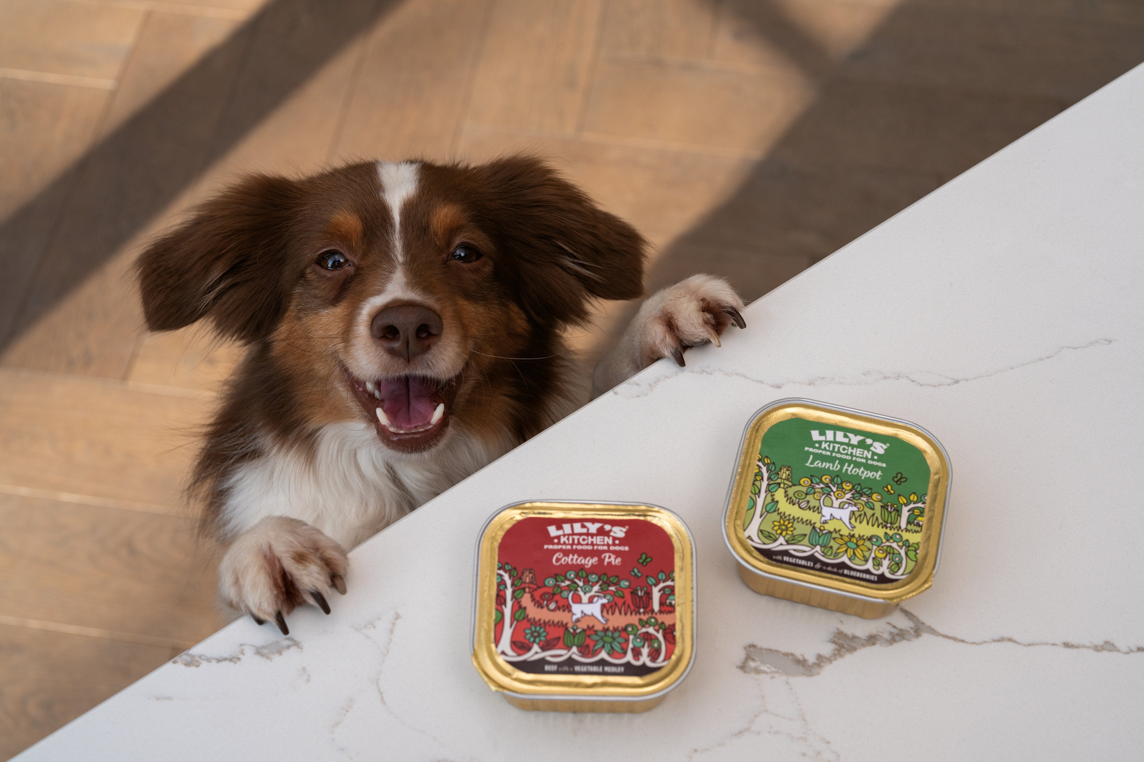 犬用主食餐盒150g