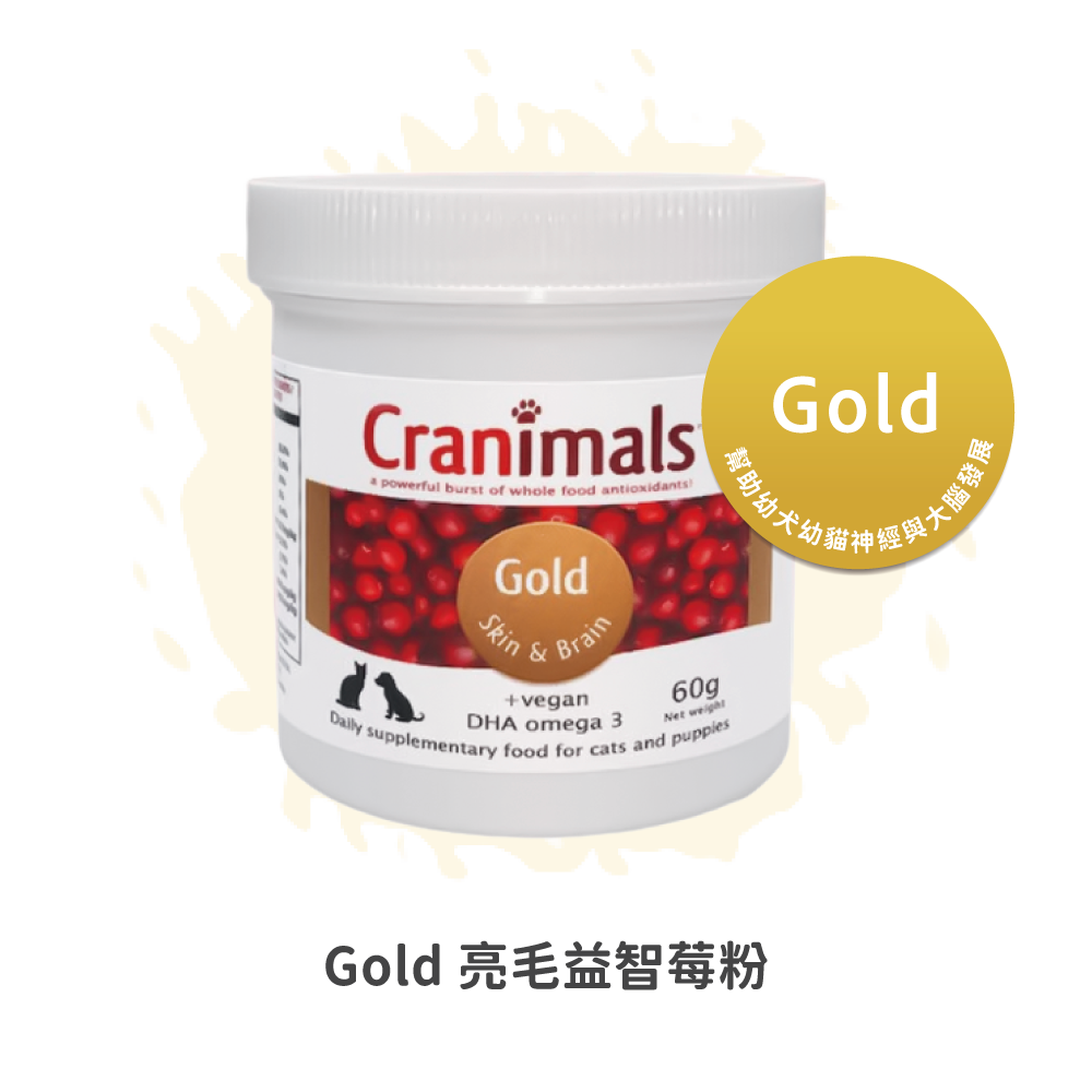 Gold 亮毛益智莓粉