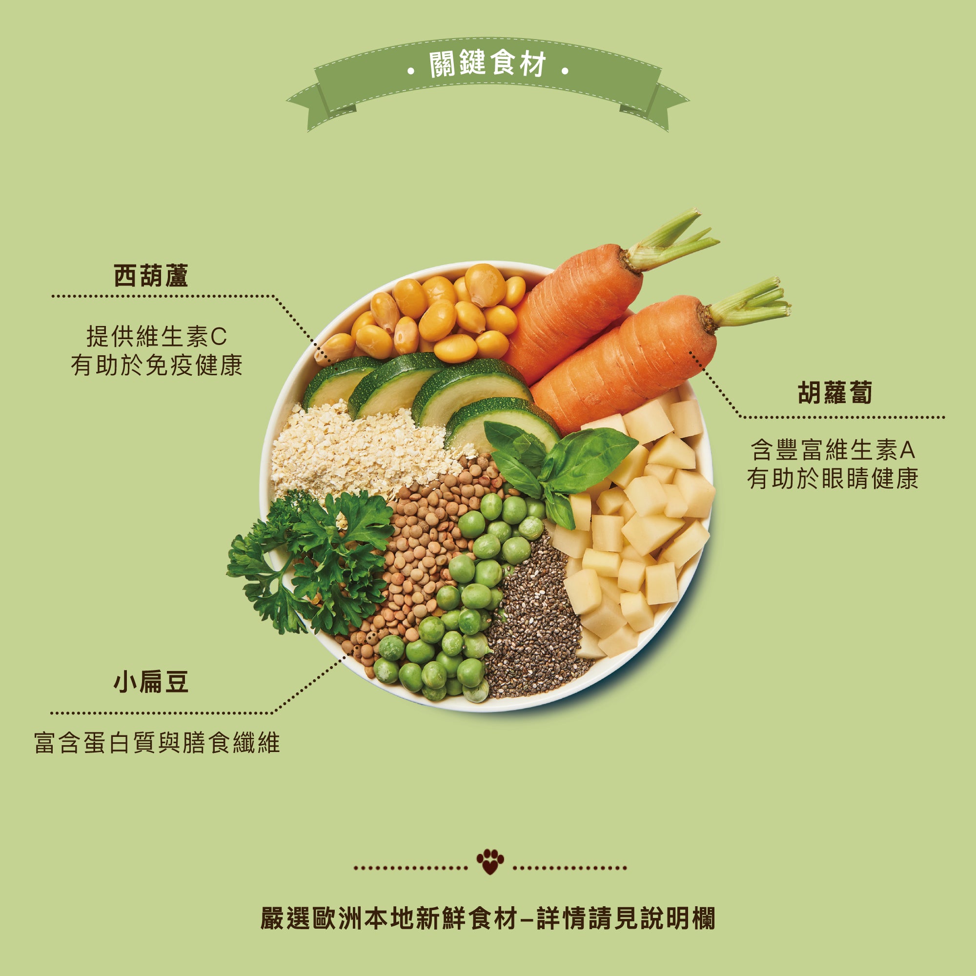 活力彩虹燉菜(純素)(犬) 400g