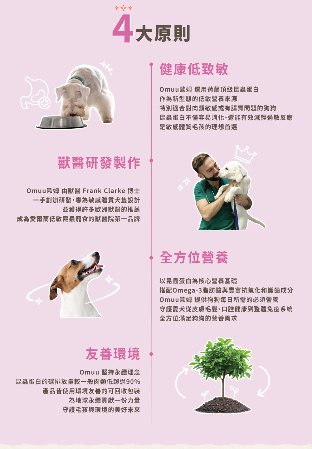 【Omuu歐姆昆蟲】愛爾蘭原裝進口極低敏黑水虻護齒軟零食 150g