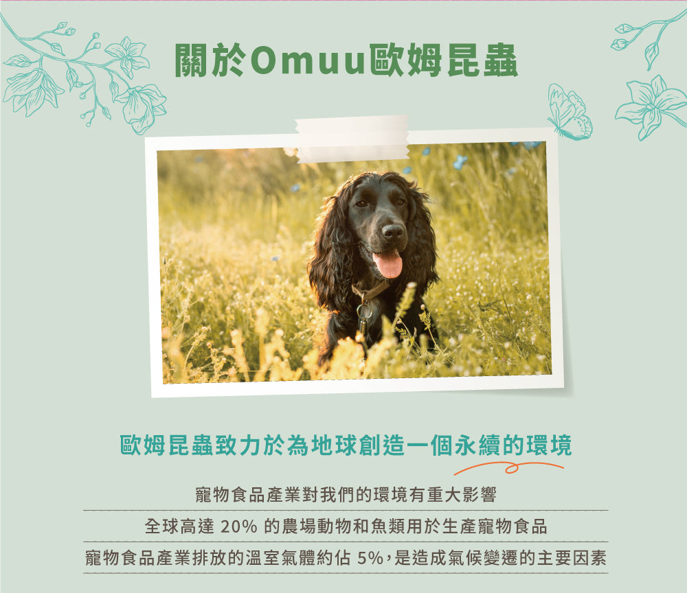 【Omuu歐姆昆蟲】愛爾蘭原裝進口極低敏黑水虻護齒軟零食 150g
