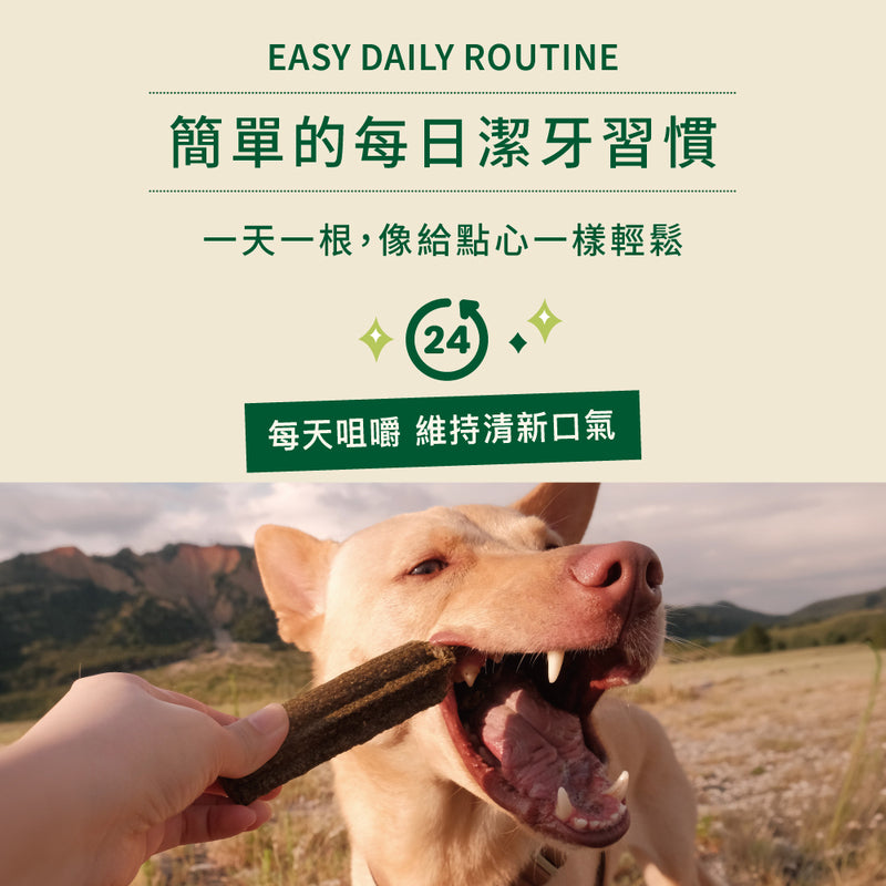 大號沃夫潔牙棒 進階版 腸胃益生元配方(犬)