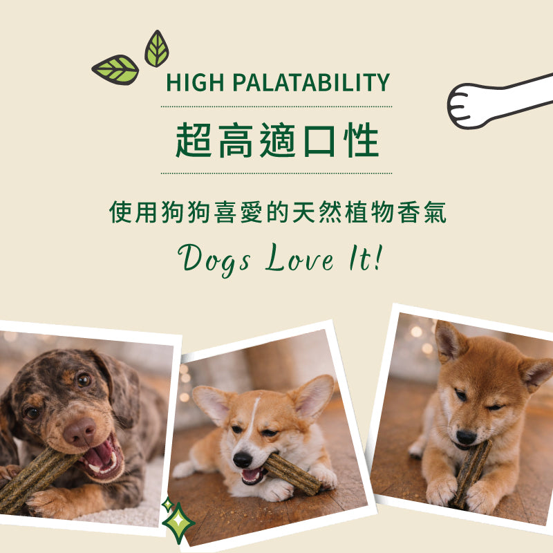 大號沃夫潔牙棒 進階版 腸胃益生元配方(犬)